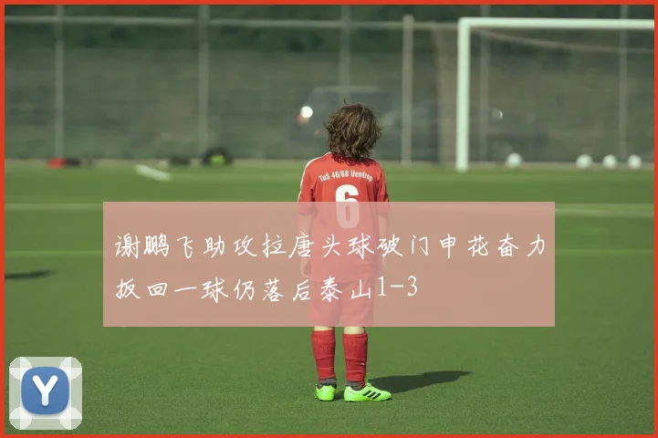 谢鹏飞助攻拉唐头球破门申花奋力扳回一球仍落后泰山1-3