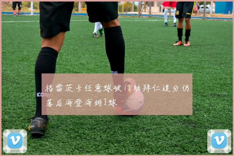 格雷茨卡任意球破门助拜仁追分仍落后海登海姆1球