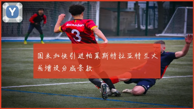 国米加快引进帕莱斯特拉亚特兰大或增设分成条款